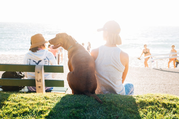 Health Benefits of Being a Dog Mom