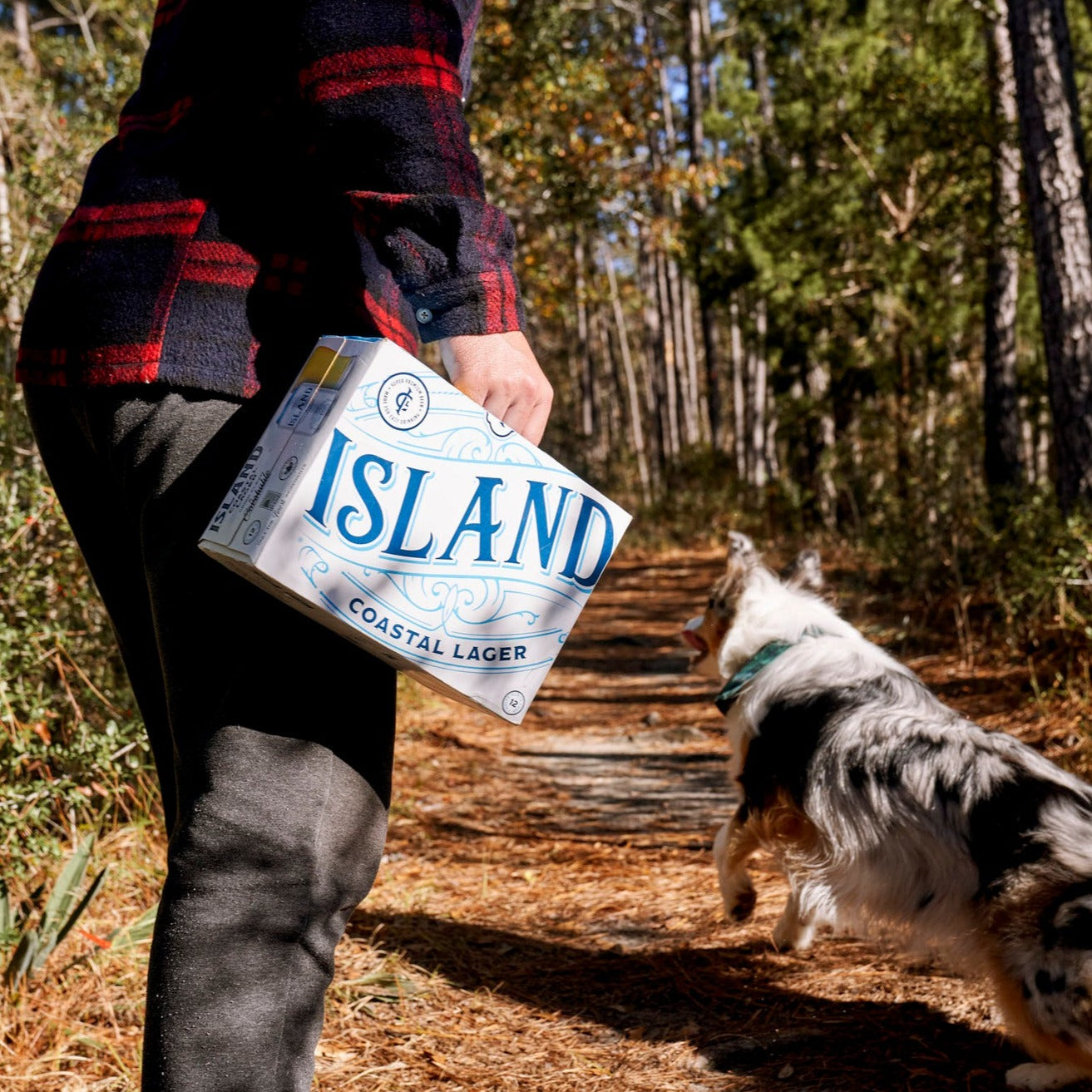 Island Coastal Lager